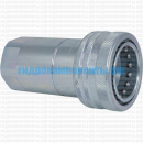 ANV 38 NPT F